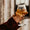 Cider-My Wine Canada