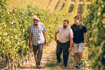 Gold Hill Winery-My Wine Canada