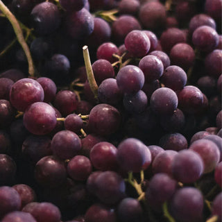 Pinot Gris-My Wine Canada