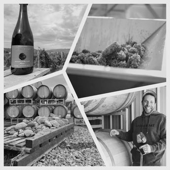 Stoneboat Vineyards-My Wine Canada