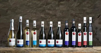 Sue-Ann Staff Estate Winery-My Wine Canada