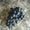 Syrah-My Wine Canada