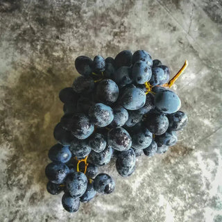 Syrah-My Wine Canada