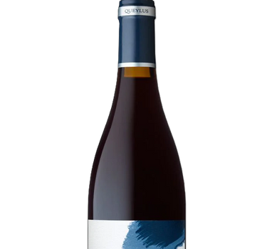 Wine bottle with 'Queylus' label on a white background