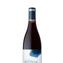 Wine bottle with 'Queylus' label on a white background