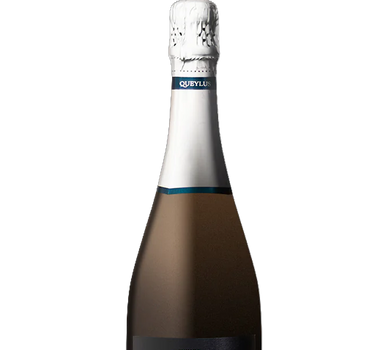 Bottle of Queylius Ambiance sparkling wine on a white background