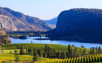 Okanagan Valley vineyard with lake and mountains in the back
