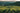 Vineyard in Ontario, Canada for making the best wine
