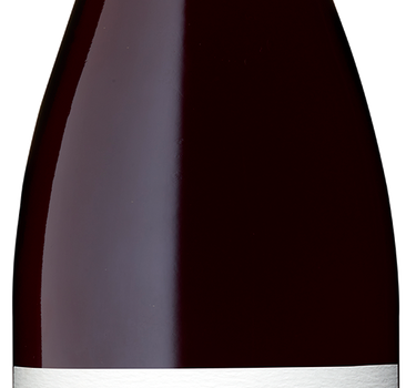 'Cat on the Bench' Gamay 2021, Malivoire Wine Company - 750