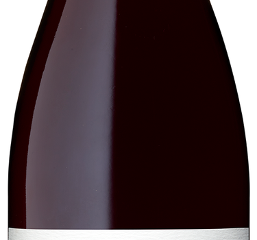 'Cat on the Bench' Pinot Noir 2022, Malivoire Wine Company - 750