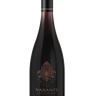 67ad12d8b0a8e7582e689fbd_vasanti-2022-gamay-noir-1711645562505_1750424822293.png