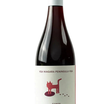 Gamay Noir 2022, Traynor Family Vineyard