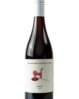 Gamay Noir 2022, Traynor Family Vineyard