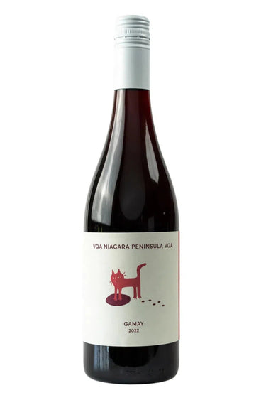 Gamay Noir 2022, Traynor Family Vineyard