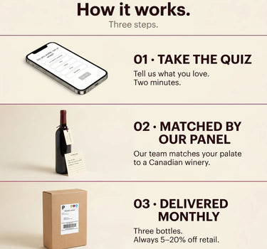 Step-by-step process for a wine subscription service on a beige background