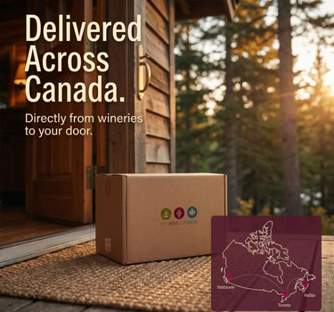 Cardboard box with a wine delivery service logo on a doorstep with a scenic background.