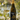 Tenacious Turtle Chardonnay 2025, Mythology Vineyard - 750 ml