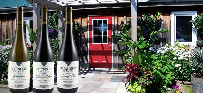 Wine Club Feature: Marynissen Estates Winery
